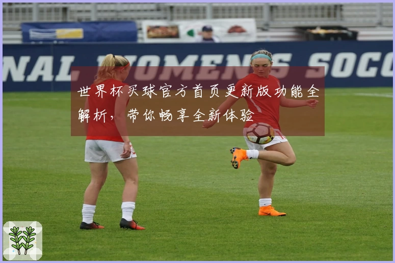 世界杯买球官方首页更新版功能全解析，带你畅享全新体验