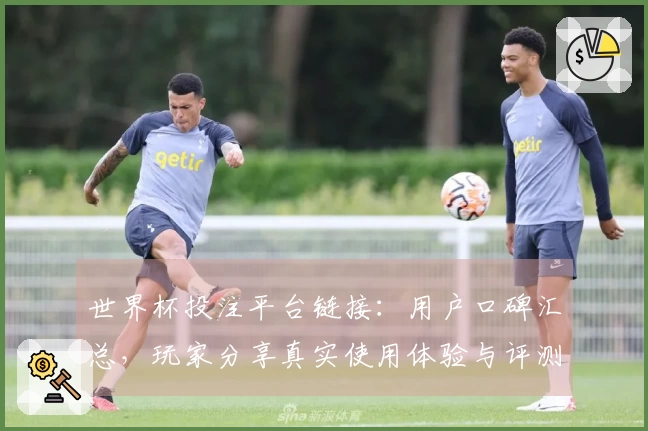 世界杯投注平台链接：用户口碑汇总，玩家分享真实使用体验与评测对比