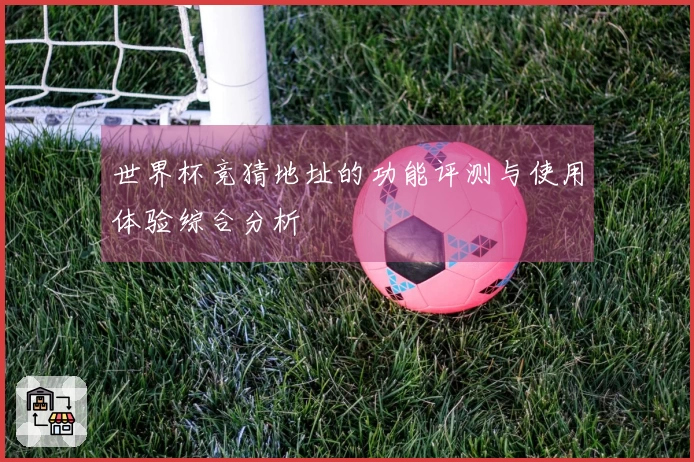 世界杯竞猜地址的功能评测与使用体验综合分析