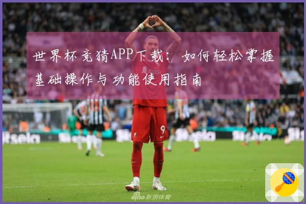 世界杯竞猜APP下载：如何轻松掌握基础操作与功能使用指南