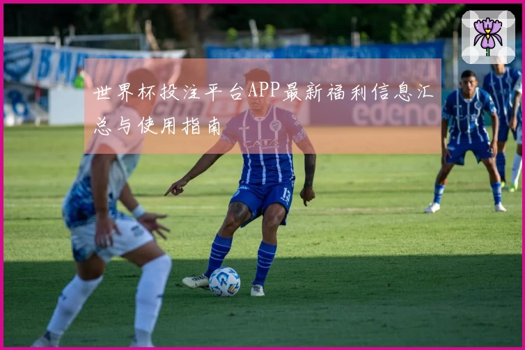 世界杯投注平台APP最新福利信息汇总与使用指南